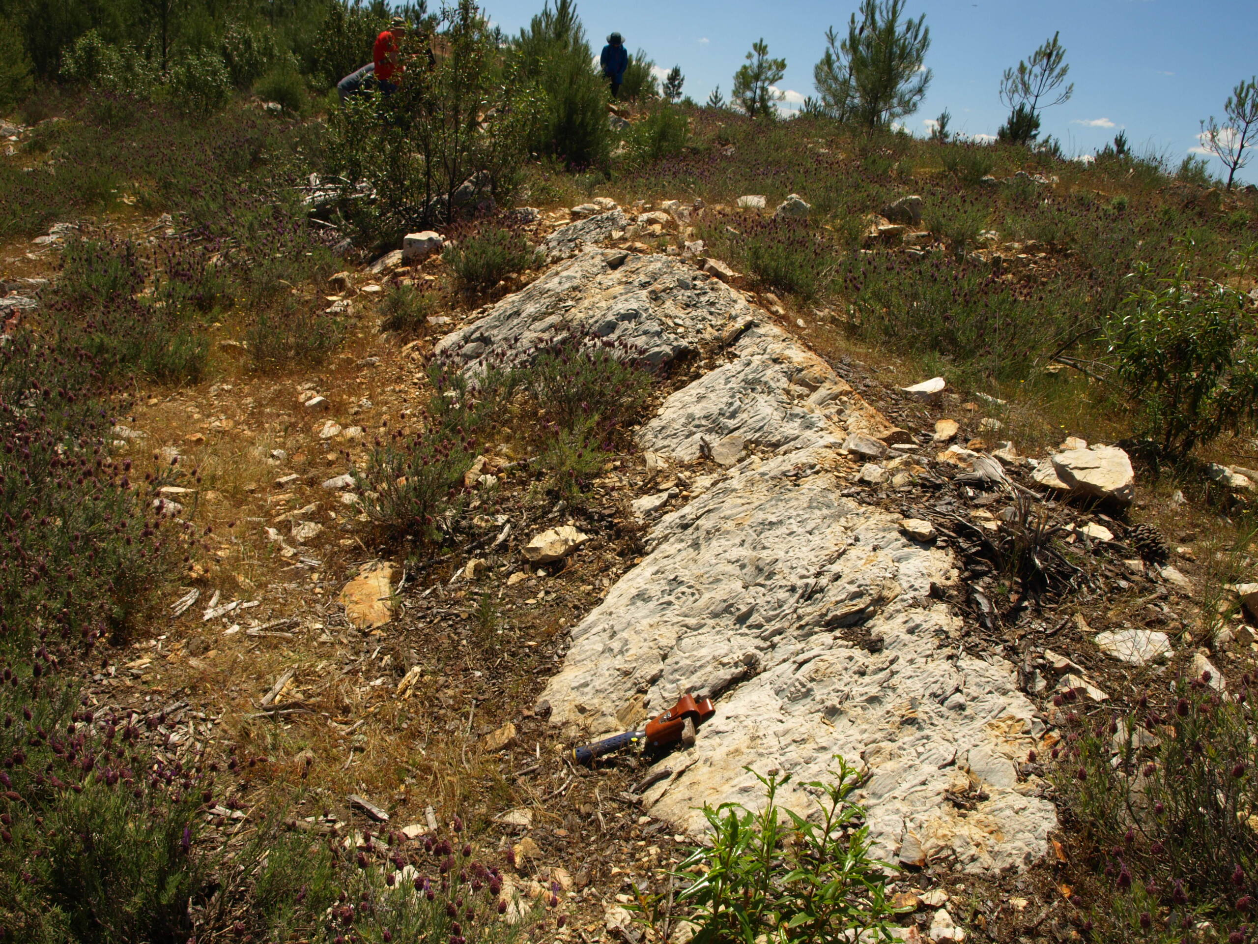 Nº11 - Nacimiento del Almonte