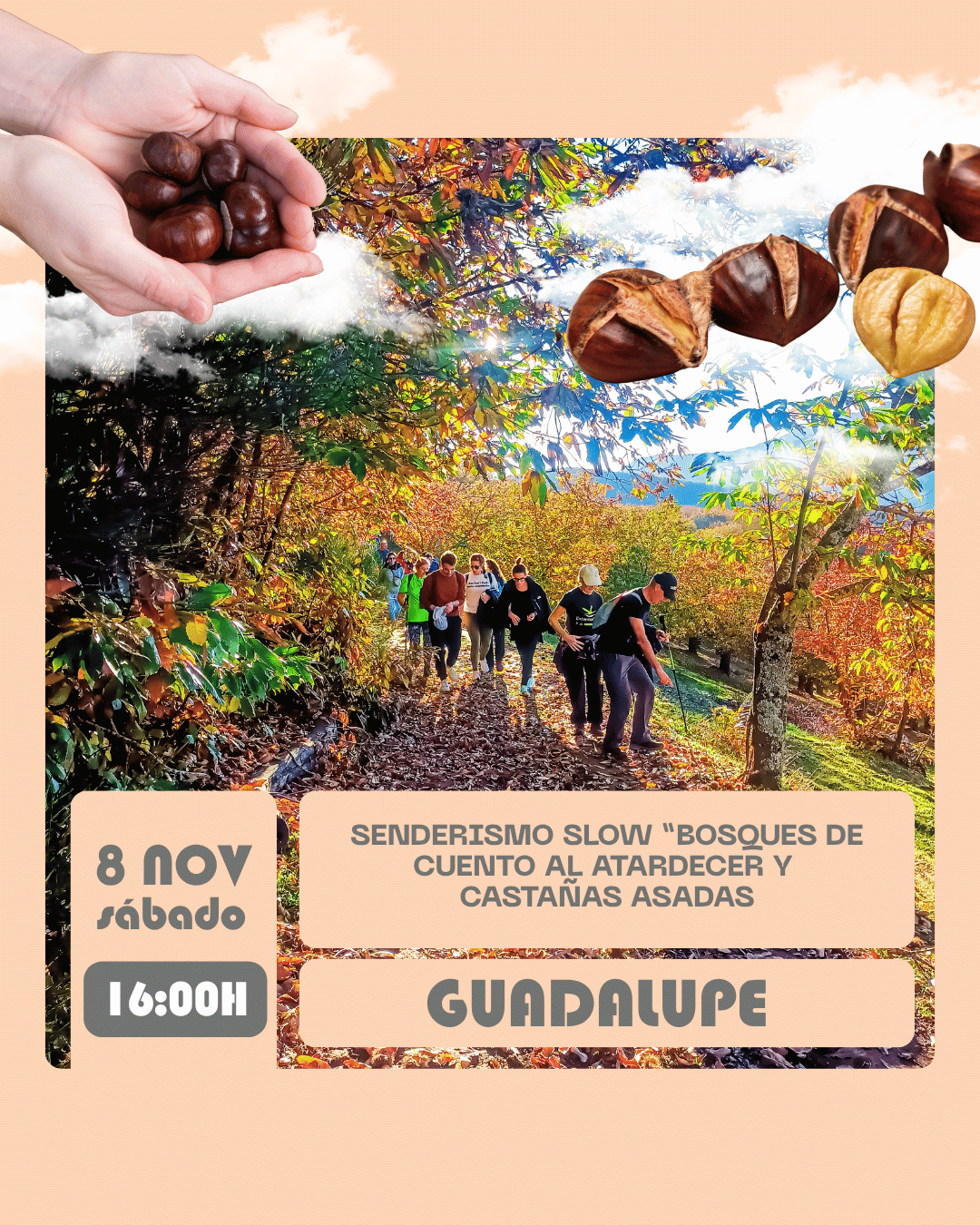 Senderismo slow “bosques de cuento al atardecer y castañas asadas