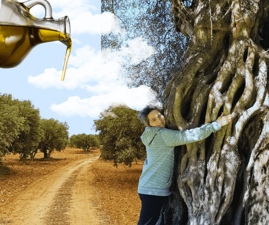 Senderos del olivo y el oro líquido