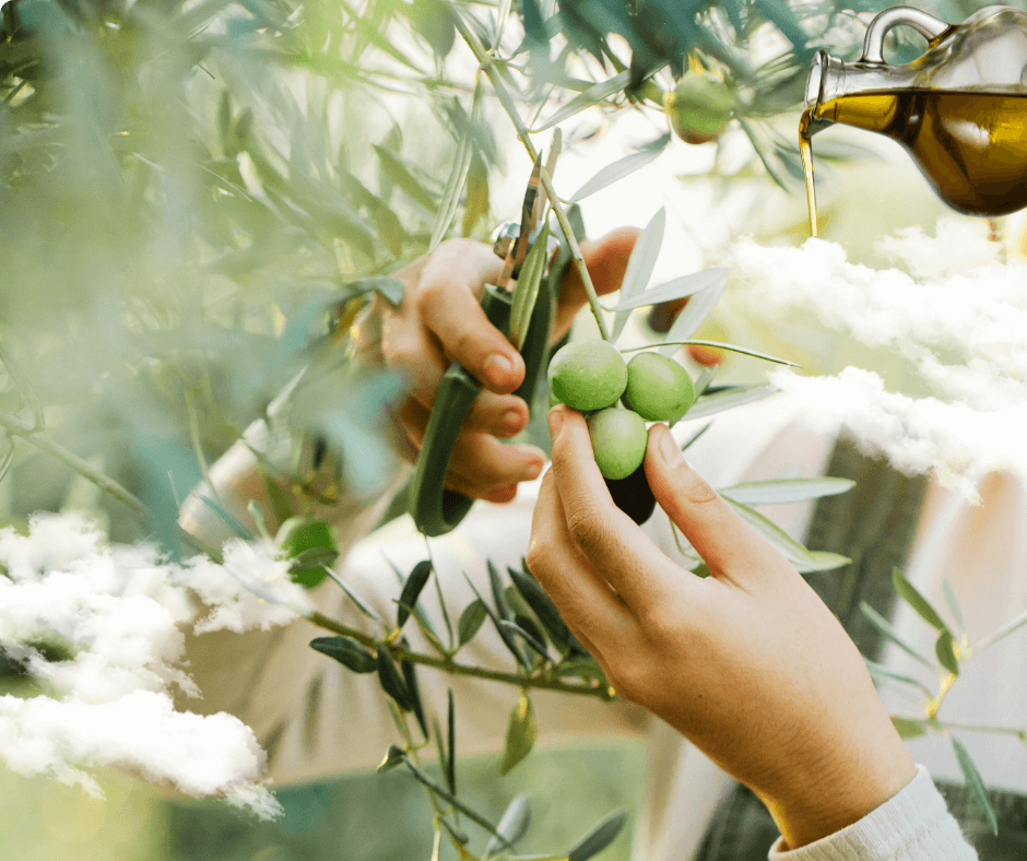 Sensaciones con AOVE