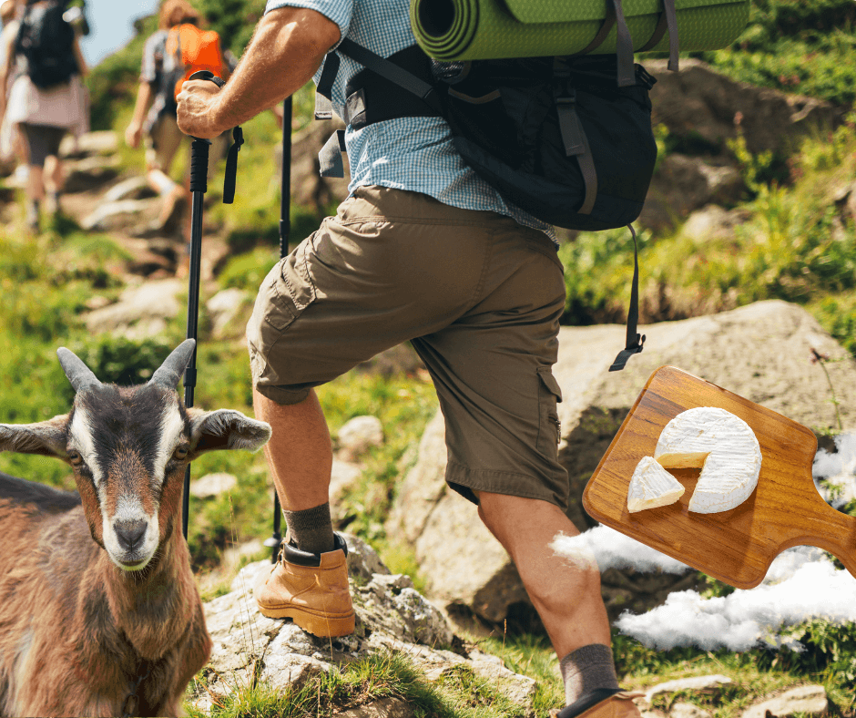 Ruta del Queso por los Ibores