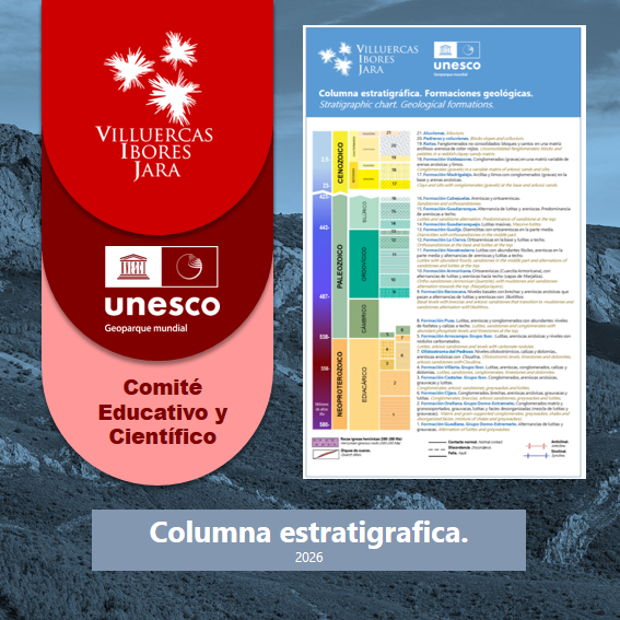 CEC web columna