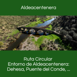 Boton RC Aldeacentenera