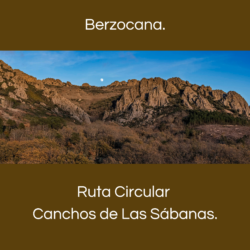 Boton RC Berzocana