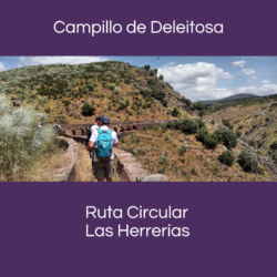 Boton RC Campillo