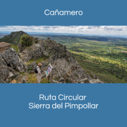 Boton RC Cañamero