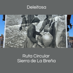 Boton RC Deleitosa