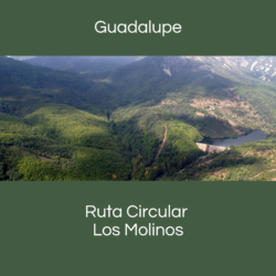 Boton RC Guadalupe