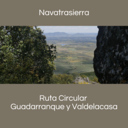 Boton RC Navatrasierra