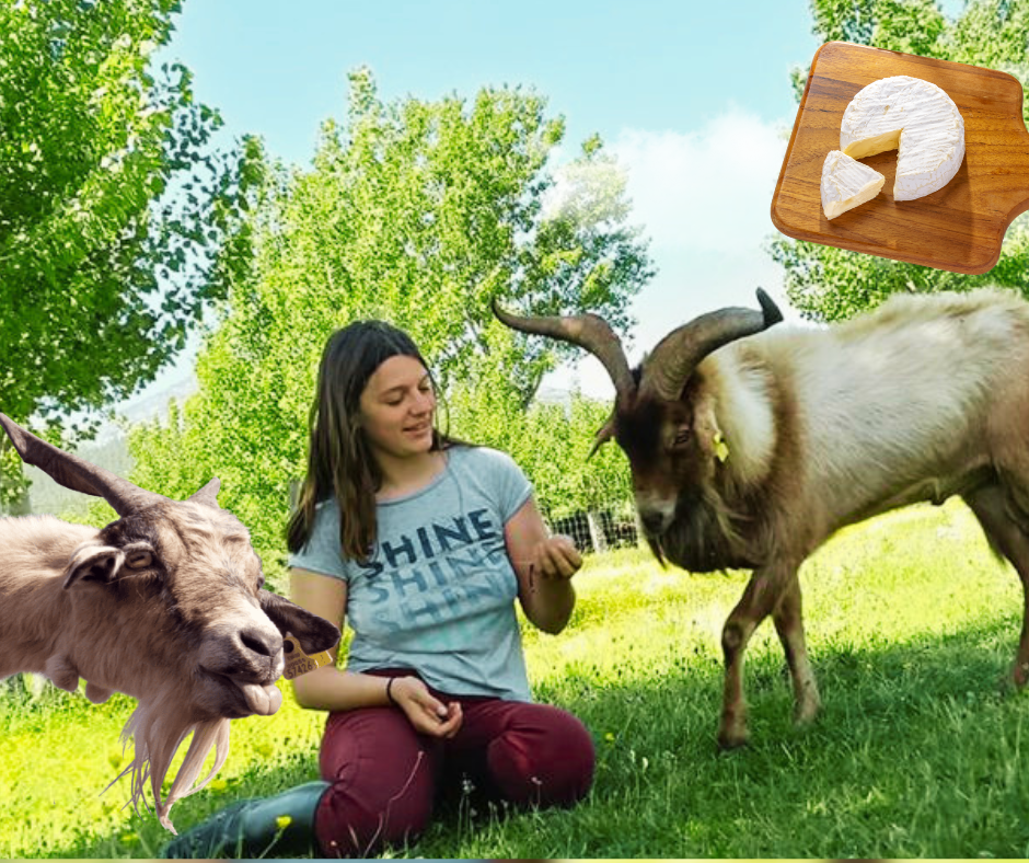 Encabrítate y degustación de productos del Geoparque en la granja Las Lucías