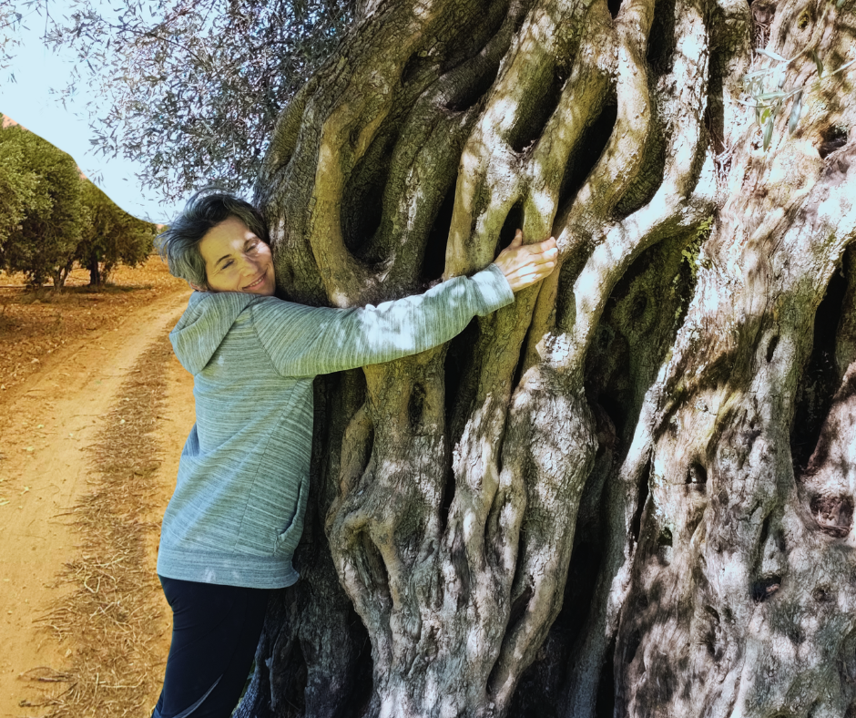 Senderos del olivo y oro líquido, ruta por el valle del Gualija y olivar de Los Encepados