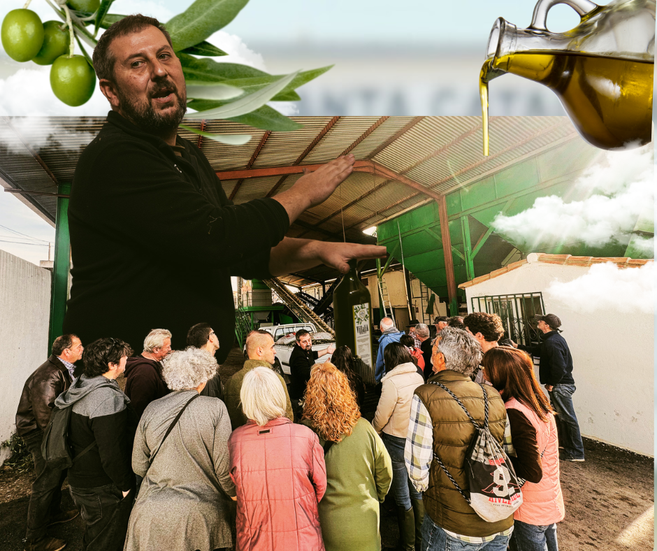 Oleoturismo y visita a la almazara de la Cooperativa Santa Catalina en Alía