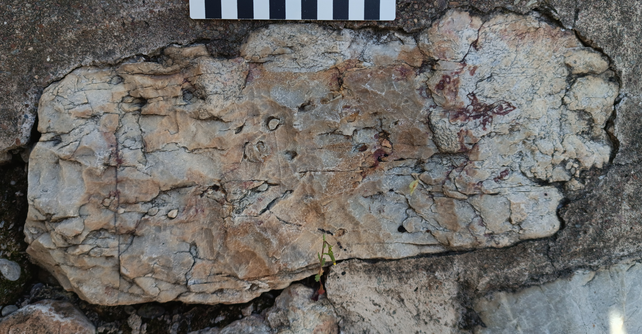 Berzocana urban fossil trail