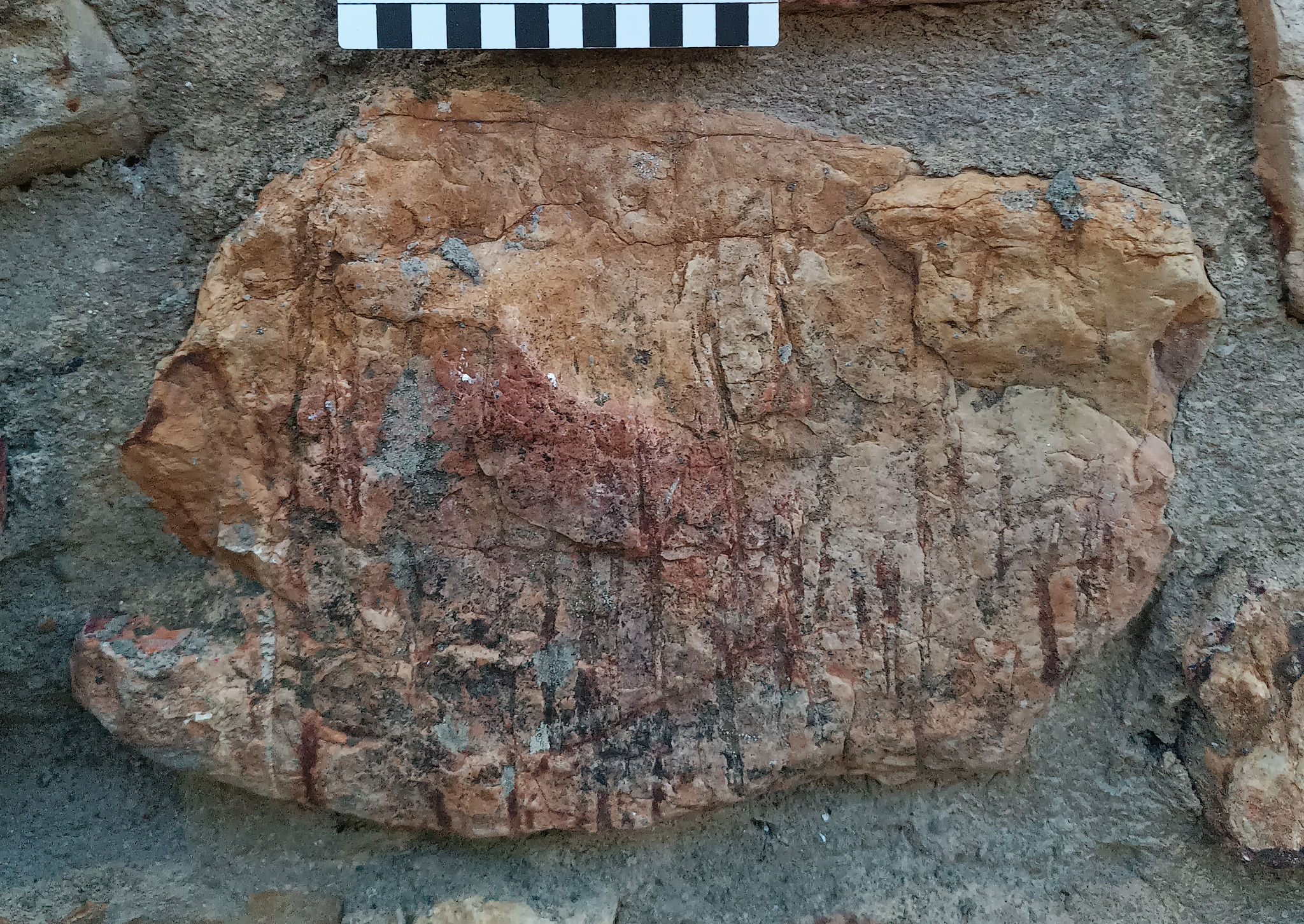 Urban Geological Itineraries